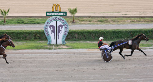 Race 7 confirmed result
