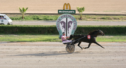 Race 8 confirmed result