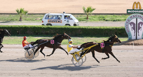 Race 5 confirmed result