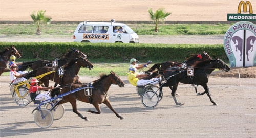 Race 7 confirmed result