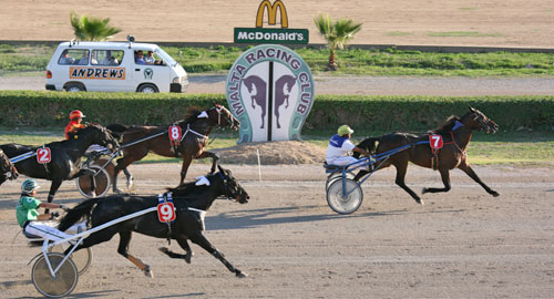 Race 8 confirmed result