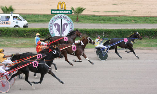 Race 5 confirmed result
