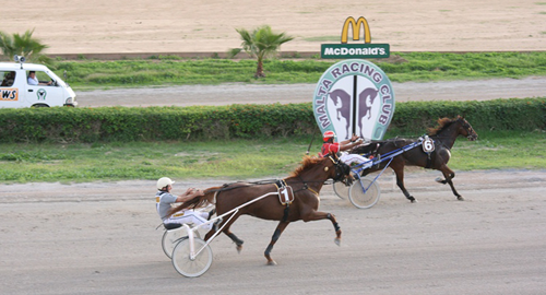 Race 7 confirmed result