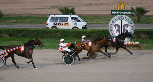 Race 8 confirmed result