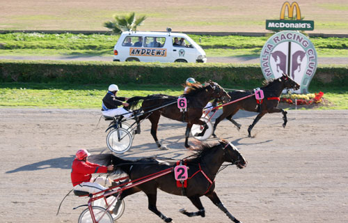 Race 5 confirmed result