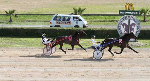 Race 5 confirmed result