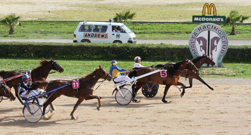 Race 5 confirmed result
