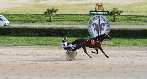 Race 8 confirmed result