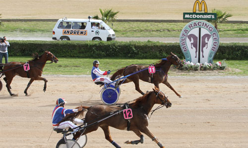 Race 5 confirmed result