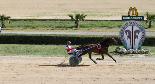 Race 5 confirmed result