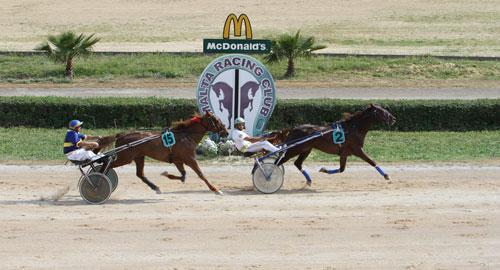 Race 6 confirmed result