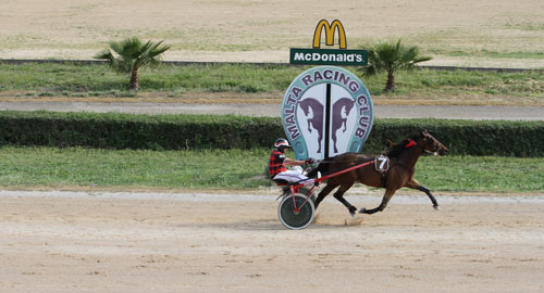 Race 7 confirmed result