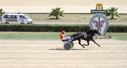 Race 5 confirmed result