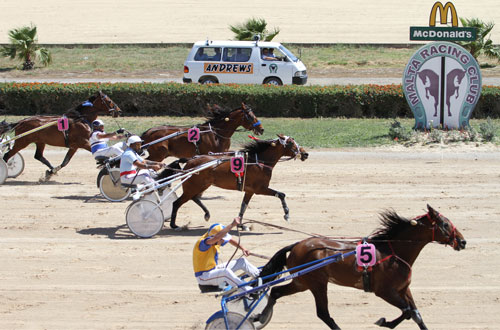 Race 5 confirmed result