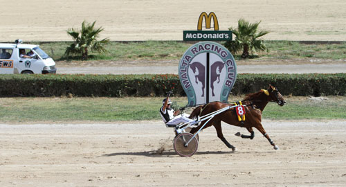 Race 8 confirmed result