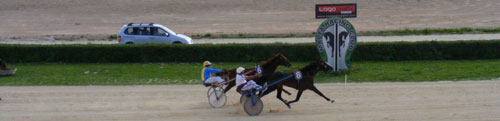Race 4 confirmed result