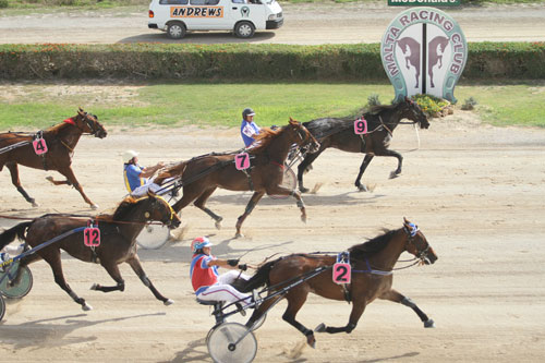 Race 5 confirmed result