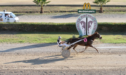 Race 5 confirmed result