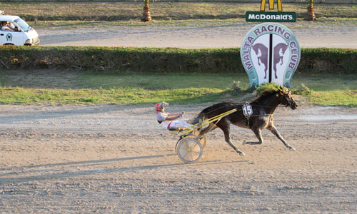 Race 7 confirmed result