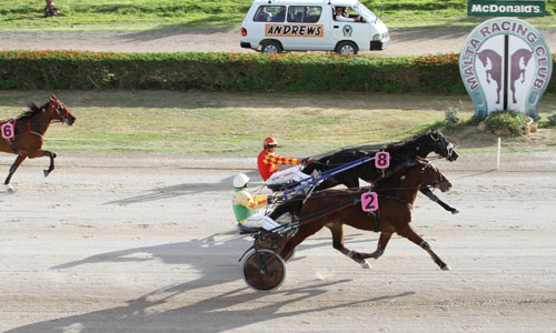 Race 5 confirmed result
