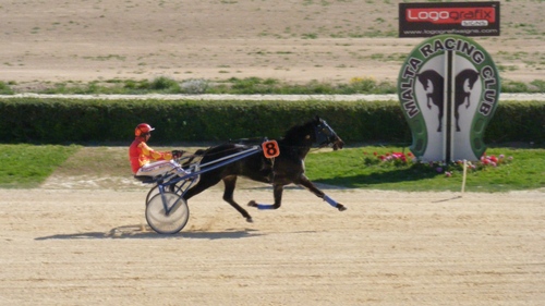 Race 3 confirmed result