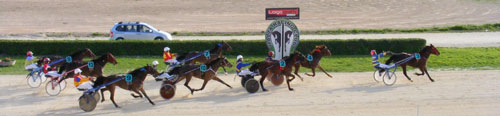 Race 6 confirmed result