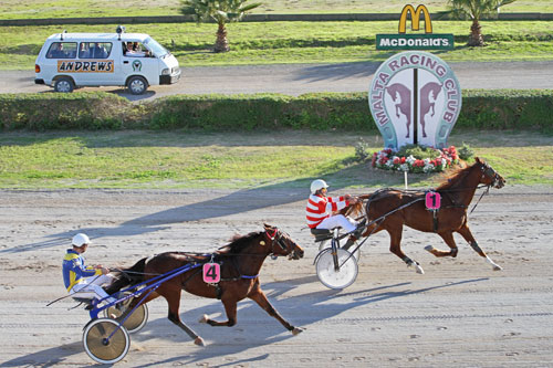 Race 5 confirmed result