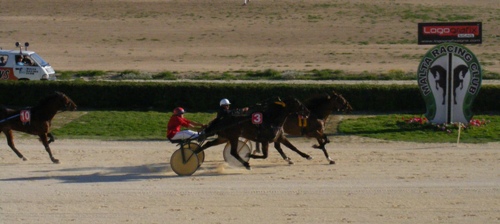 Race 8 confirmed result