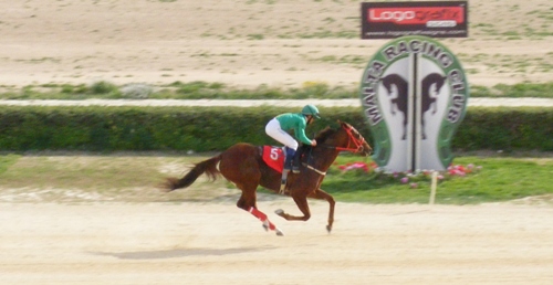 Race 4 confirmed result