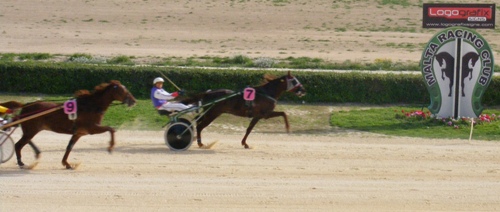 Race 5 confirmed result