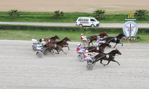 Race 7 confirmed result