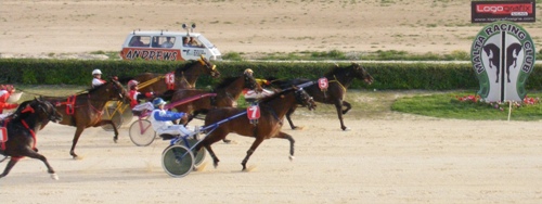 Race 8 confirmed result