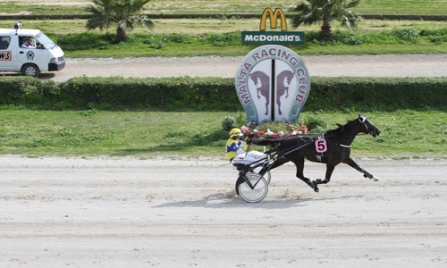 Race 5 confirmed result