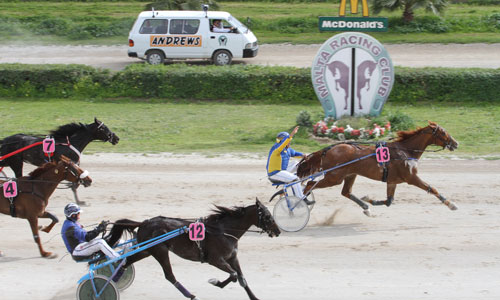 Race 5 confirmed result