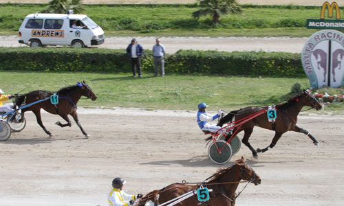 Race 6 confirmed result