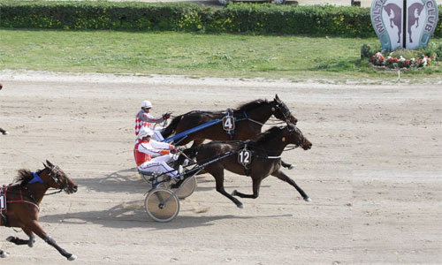 Race 7 confirmed result