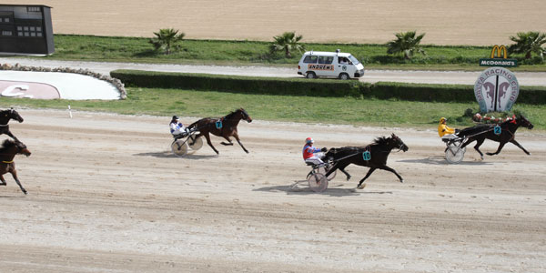 Race 6 confirmed result