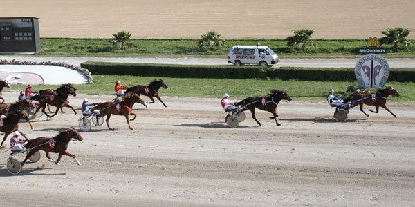 Race 8 confirmed result