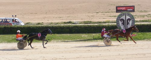 Race 5 confirmed result