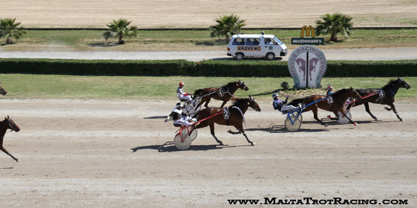 Race 7 confirmed result