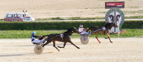 Race 7 confirmed result