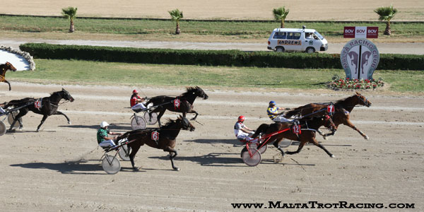 Race 8 confirmed result