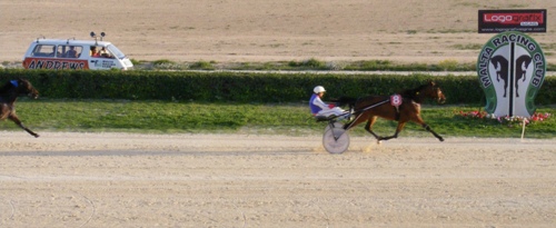 Race 8 confirmed result