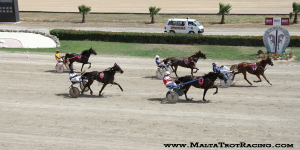 Race 5 confirmed result