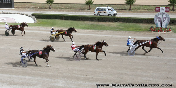 Race 8 confirmed result