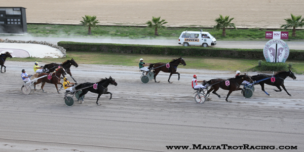 Race 5 confirmed result