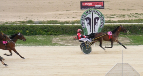 Race 5 confirmed result
