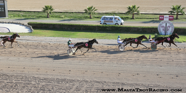 Race 5 confirmed result