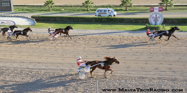 Race 7 confirmed result