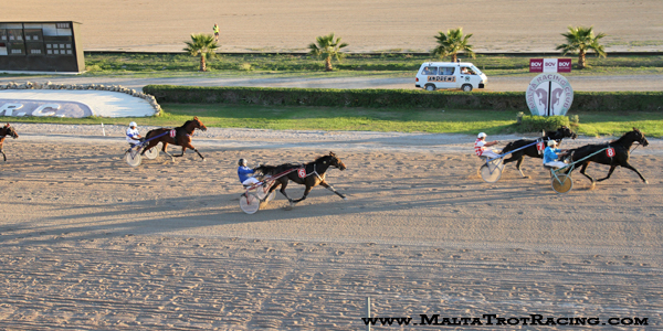 Race 8 confirmed result